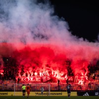 maribor viole.jpg