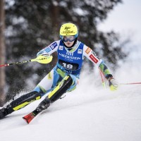 neja dvornik.jpg
