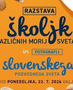 Razstava školjk in fotografij »Pod gladino slovenskega morja« v Centru Vič