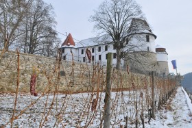 Postanite boter grajski trti na gradu Sevnica