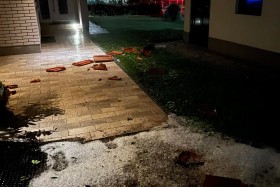 Zbiranje prijav škode zaradi posledic neurij s točo