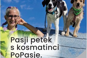 PASJI PETEK S KOSMATINCI