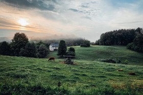 Odprt javni razpis za razvoj kmetijstva in podeželja v Novem mestu