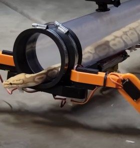 VIDEO: Za kače izdelal robotske noge, ki jih spretni plazilci ne rabijo