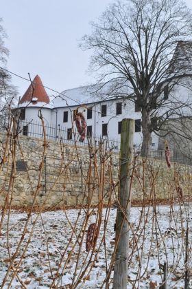 Postanite boter grajski trti na gradu Sevnica