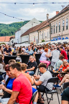 Otvoritveni večer Mestne promenade Brežice 2025 zaznamovalo prestižno priznanje Slovenia Green Destination Platinum