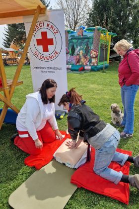 Festival športa in rekreacije Športno mesto 2026