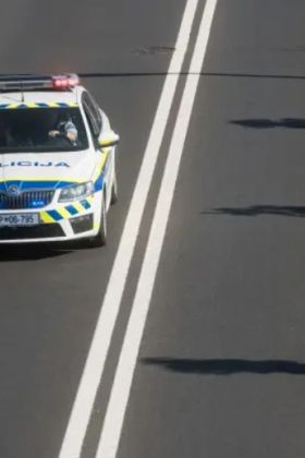 Voznika po dolenjski avtocesti ustavili s stingerjem