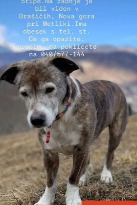 Išče se Stipe