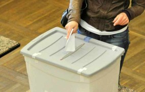 Evropske volitve kot odskočna deska za predčasne volitve