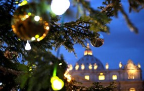 Slovensko božično drevo na Trgu svetega Petra