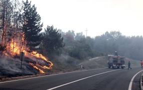 Kar 500 gasilcev v boju s požarom na Črnem Kalu