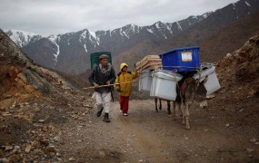 Pri pripravah na volitve v Afganistanu pomagajo tudi osli