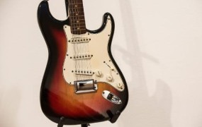 Dylanovo električno kitaro prodali za 965.000 dolarjev