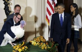 Obama pred zahvalnim dnevom pomilostil purana
