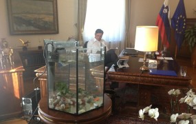 Princeska je rešena! Pahor je zlati ribici brž kupil nov akvarij.