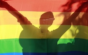 Ameriški skavti po novem letu odprti do odkrito homoseksualne mladine