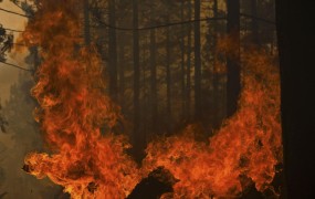 Požar v Španiji uničil kar 8000 hektarov gozda