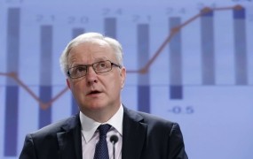 Rehn pričakuje od Slovenije »prepričljiva« načrta za reforme in stabilnost