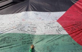 Levica v DZ za priznanje Palestine