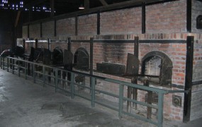 Poljaki bi zgradili krematorij ob koncentracijskem taborišču Majdanek