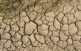 Suša in pomanjkanje pitne vode na Primorskem