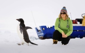 Potnike na Antarktiki ujete ladje čaka ledeno novo leto
