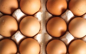 »Nimaš jajc« je v Italiji kazniva žaljivka