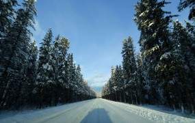 Sneg na Češkem ohromil promet