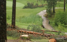 Neurje nad Belo krajino: podrta drevesa, poškodovana vozila