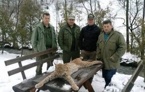 Lovci so se na Facebooku bahali z ustrelom zaščitenega risa