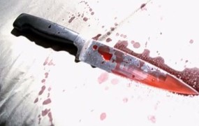 Čehinja vdrla v srednjo šolo in z nožem ubila dijaka