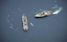 Švedska vojska v morju pri Stockholmu išče skrivnostno tuje plovilo