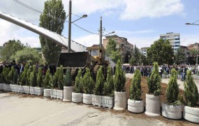 Uporni Srbi v Kosovski Mitrovici so barikade zamenjali s cvetličnimi koriti