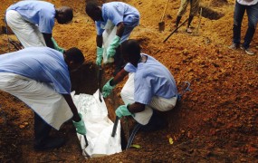 Strokovnjaki zadržani do eksperimentalnega zdravila za ebolo