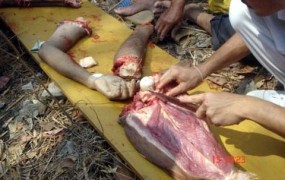 V Papui Novi Gvineji prijeli domnevne kanibale