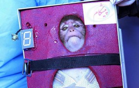 Iran že drugič v vesolje poslal opico