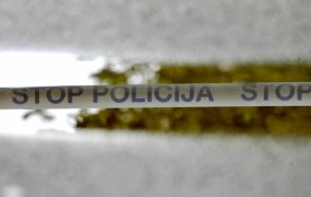 Policija: Ugrabitelji Zorice Škrbić so se na dejanje dobro pripravili