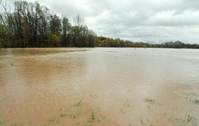 Narasla reka Krka grozi s poplavami