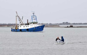 Ulov vztrajno pada, za slovenske poklicne ribiče vse težje