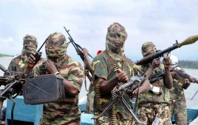 Pripadniki Boko Harama na severu Kameruna ugrabili okoli 80 ljudi