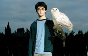 V Londonu na ogled sova Harryja Potterja in druge zverine iz filma