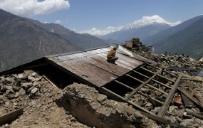 Pod plazom v Nepalu našli več trupel turistov