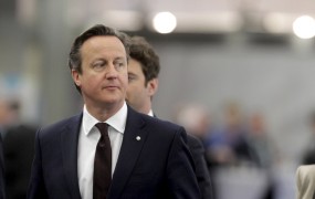 Cameron snubi evropske voditelje za podporo reformam EU