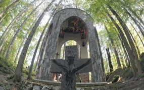 Kočevski rog, gozdna katedrala za več kot 600 prikritih morišč 