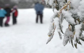 Evropa se kuha, v Avstraliji otroci celo prvič vidijo sneg
