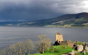 Pošast iz Loch Nessa morda zgolj velika riba