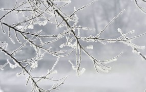 Novembrska nihanja: zjutraj minus 7, popoldne pa 21 stopinj