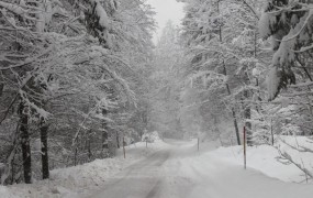 Zima v aprilu: na Gorenjskem sneži, na vzhodu Slovenije temperature pod ničlo