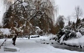 Sneg lomi drevje in mariborski parki so zaprti
